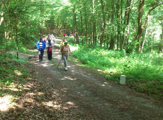 Grenzenlose Wanderung Neumarkt