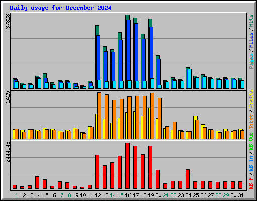 Daily usage for December 2024