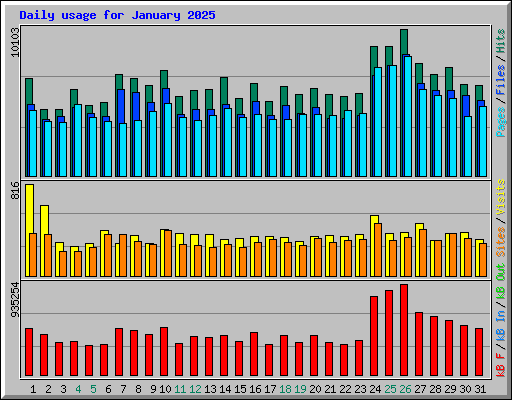 Daily usage for January 2025