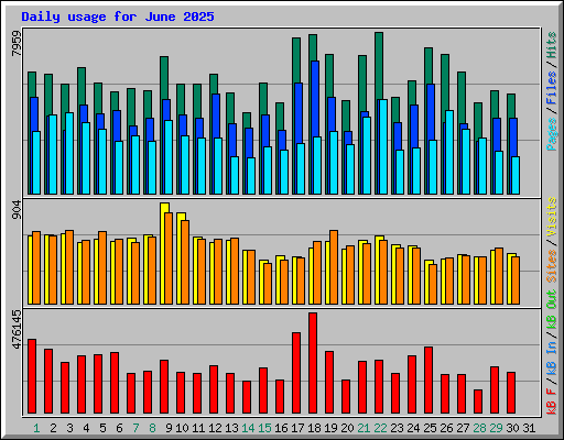 Daily usage for June 2025