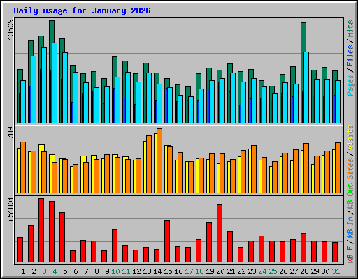 Daily usage for January 2026