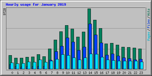 Hourly usage for January 2019