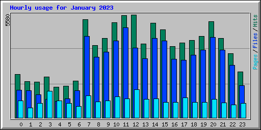 Hourly usage for January 2023