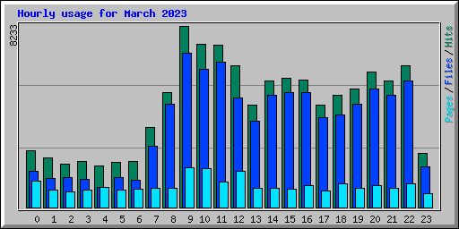Hourly usage for March 2023