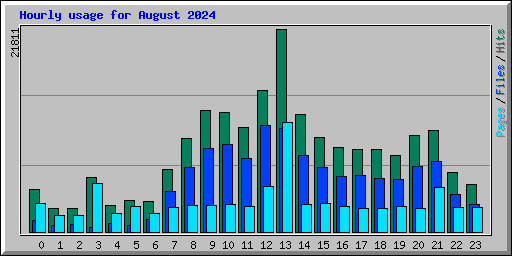 Hourly usage for August 2024