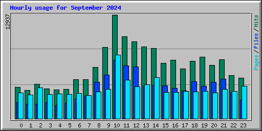 Hourly usage for September 2024