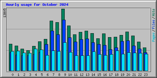 Hourly usage for October 2024