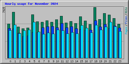 Hourly usage for November 2024