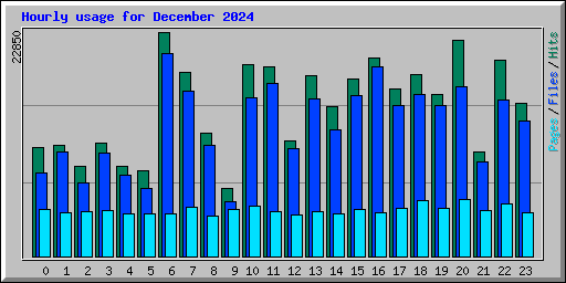 Hourly usage for December 2024