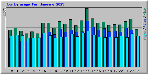 Hourly usage for January 2025