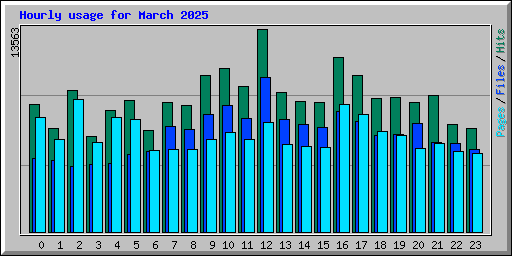 Hourly usage for March 2025
