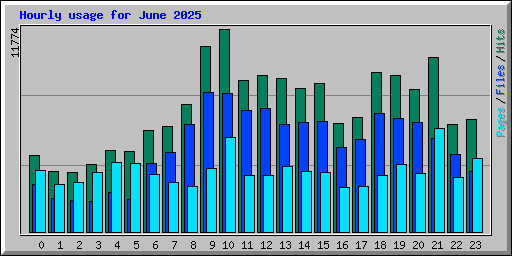 Hourly usage for June 2025