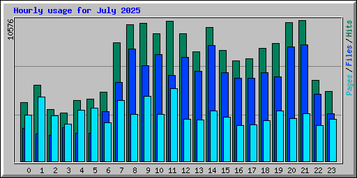 Hourly usage for July 2025