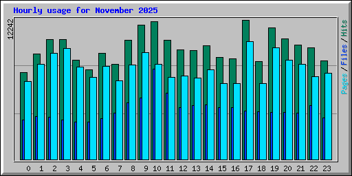 Hourly usage for November 2025