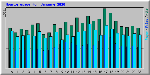 Hourly usage for January 2026