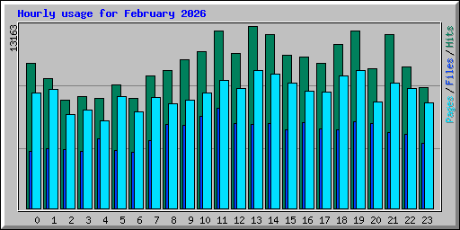 Hourly usage for February 2026
