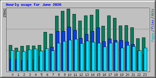 Hourly usage for June 2026