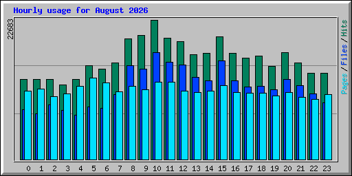 Hourly usage for August 2026